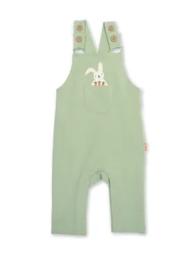 Baby bun dungarees